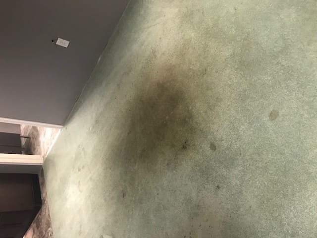 carpet stain removal