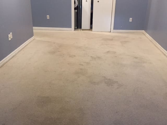 carpet-cleaning-before