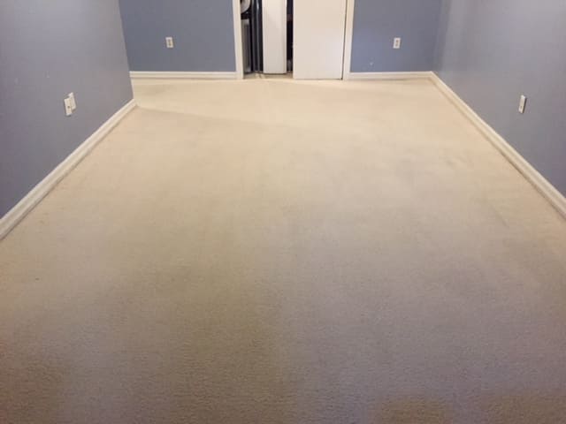 carpet-cleaning-after