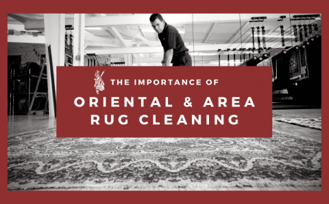 oriental area rug cleaning