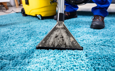 What to Expect From Carpet Cleaners