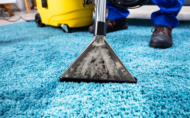 What Do You Expect From Your Carpet Cleaners?