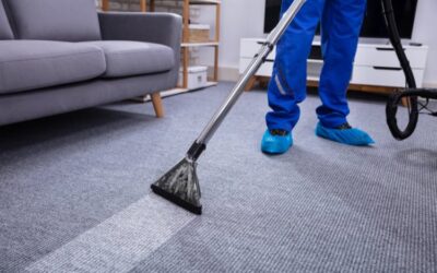 5 Key Factors to Hire Professional Carpet Cleaner