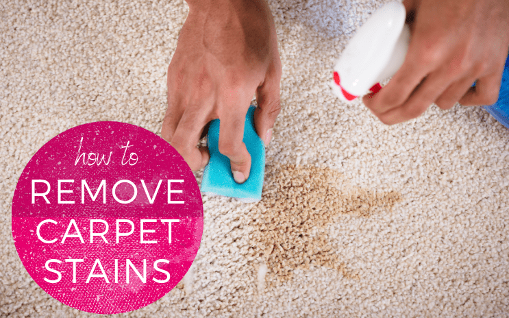 How to Remove Stains from your Carpet?