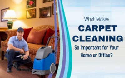 Why Carpet Cleaning Matters for Your Space