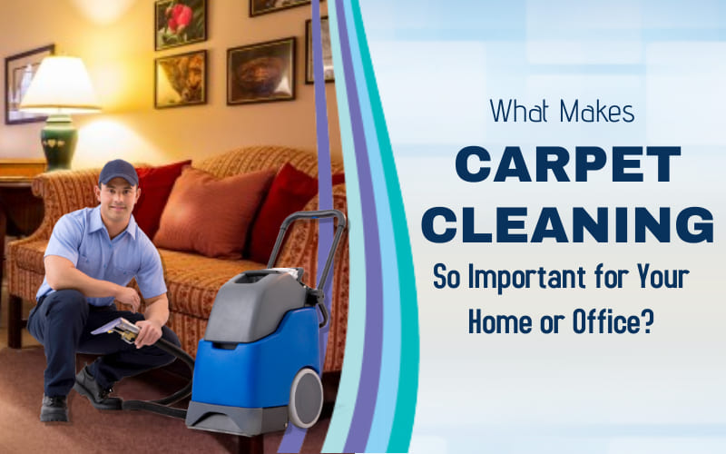 What Makes Carpet Cleaning So Important for Your Home or Office?