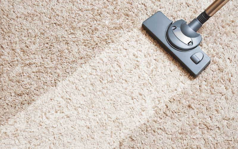 weekly vs monthly carpet cleaning