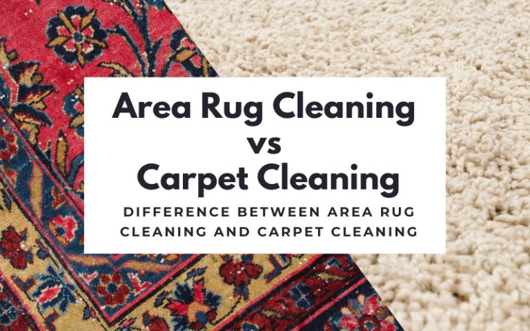 Area Rug Cleaning vs Carpet Cleaning