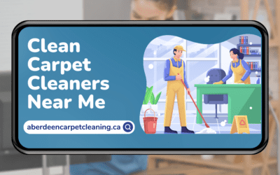 Why Hire a Professional Carpet Cleaners