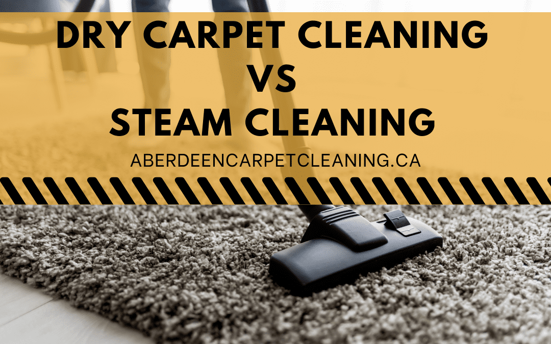 Aberdeen Professional Carpet Cleaner