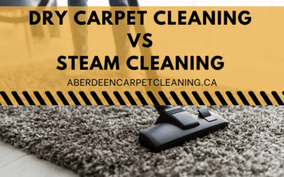 Dry Carpet Cleaning vs Steam Cleaning