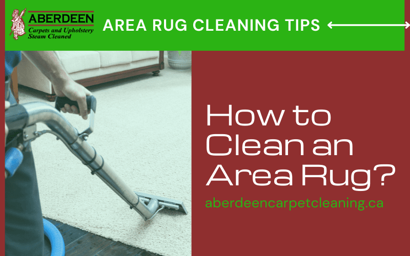 clean an area rug at home