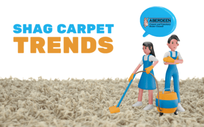 Is Shag Carpet Still in Trends?