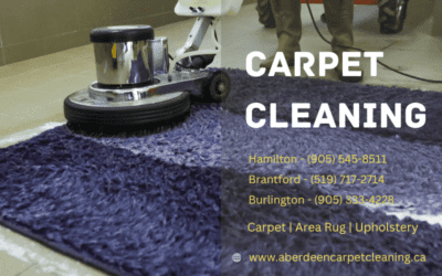 What Type of Carpet Cleaning is Best?