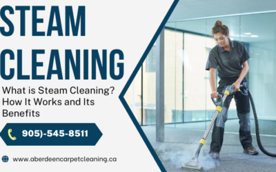 What is Steam Cleaning? How It Works and Its Benefits