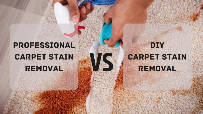 Pros and Cons: Professional versus DIY Carpet Stain Removal